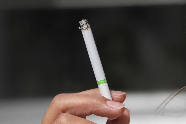 Governo de SC sanciona proibição de cigarro em playgrounds e Política de Educação Financeira