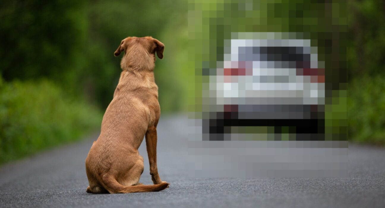 Foto ilustrativa