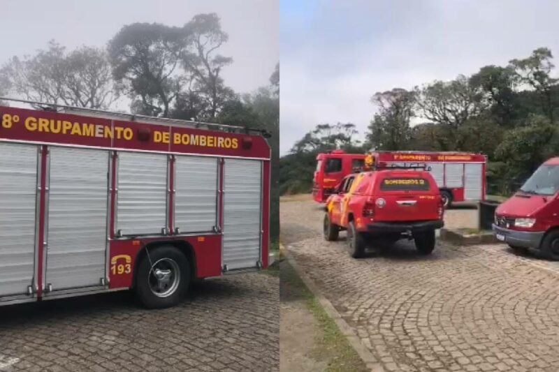 Foto: Reprodução/Rede Massa/D+News.