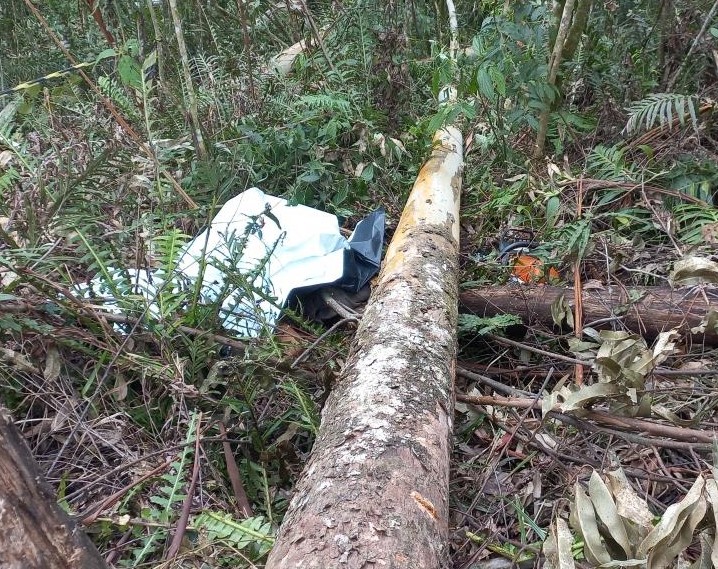 Foto: PM de Itaiópolis/D+News
